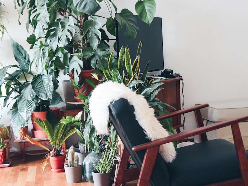 Samsung 55" Smart TV